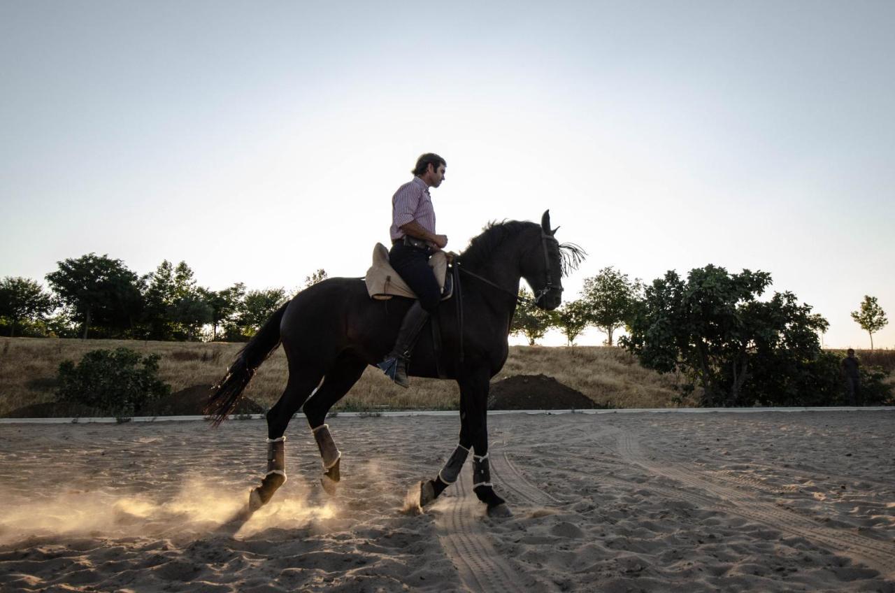 La Dehesa De Don Pedro Hotel Monesterio Kültér fotó